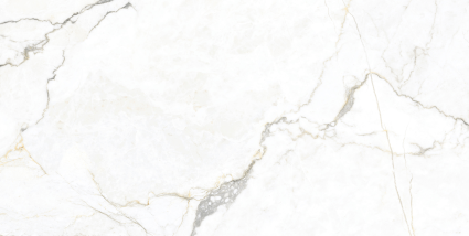 Colberth Marble Matt Porcelain 1200 x 600 x 10mm