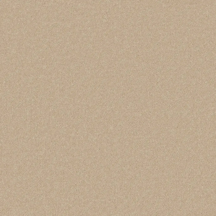 Elegance