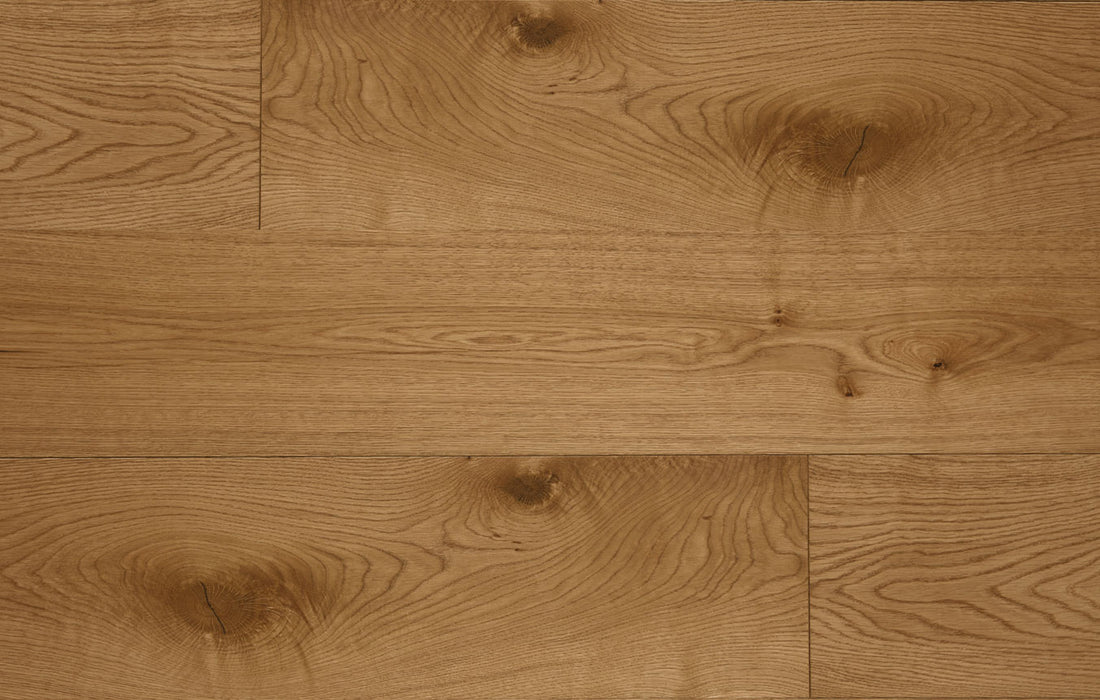 Ted Todd- Almond Project Collection