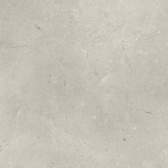 Bloomberg Matt Porcelain Wall & Floor 600x600mm