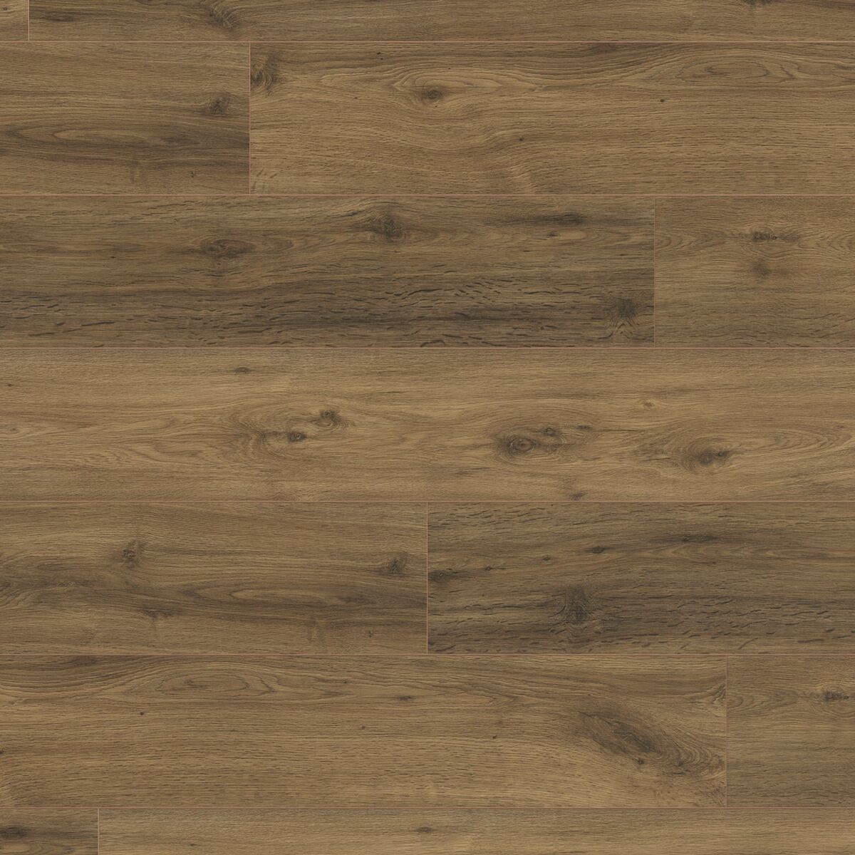 6377 LD75 | Earth Wood & Stone : Earth Wood & Stone